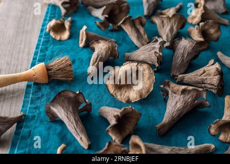 Brush for cleaning mushrooms hi-res stock photography and images - Alamy