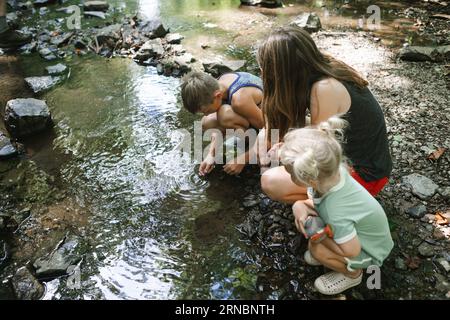 Kids exploring water on creek bank on summer day Stock Photo
