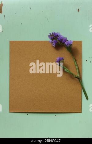 an empty  brown card with a purple blooming flower on top on a mint background with paint peeling off Stock Photo