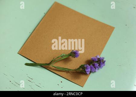 an empty  brown card with a purple blooming flower on top on a mint background with paint peeling off Stock Photo