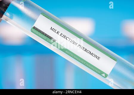 Milk ejection pheromone. This pheromone is produced by lactating ...