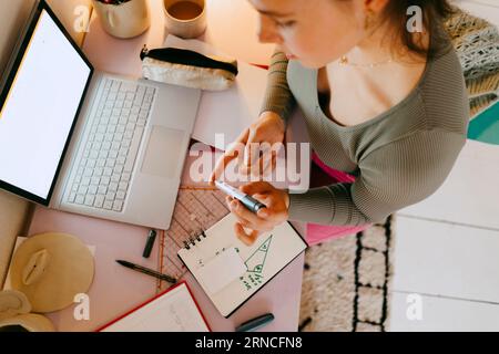 High angle view of young woman using glucometer while doing homework at table Stock Photo