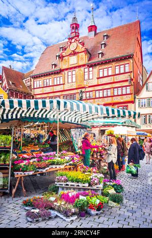 Tubingen, Germany - October 16th, 2021. Traditional german small town with decorated half-timbered houses, Baden-Wurttemberg land. Stock Photo