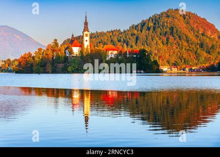 Seks porno rus squirt Tomoqdagi negro