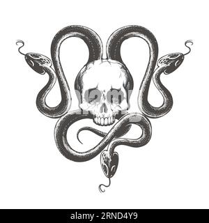 Esoteric Engraving Tattoo of Human Skull in Traingle of Snakes Esoteric isolated on white. Vector illustration Stock Vector