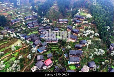 (160512) -- SANJIANG, May 12, 2016 -- This photo taken with unmanned aerial vehicle on March 8, 2016 shows the Tangshui Village in Bajiang Town of Sanjiang Dong Autonomous County, south China s Guangxi Zhuang Autonomous Region. Sanjiang Dong Autonomous County, located in the north of Guangxi, is renowned in the world for its large numbers of drum towers, wind and rain bridges and traditional buildings of Dong ethnic group. ) (zwx) CHINA-GUANGXI-SANJIANG-SCENERY (CN) GongxPukang PUBLICATIONxNOTxINxCHN   Sanjiang May 12 2016 This Photo Taken With Unmanned Aerial Vehicle ON March 8 2016 Shows The Stock Photo