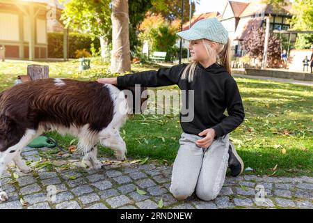 Cute little adorable blond girl enjoy petting springer spaniel dog at home yard or city park outdoors. Small kid with her best friend animal on warm Stock Photo