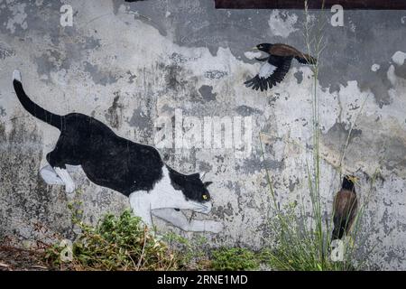 Cat hunting for a bird drawing on the wall of the house, street art. Thailand, Phang Nga March 2, 2023 Stock Photo