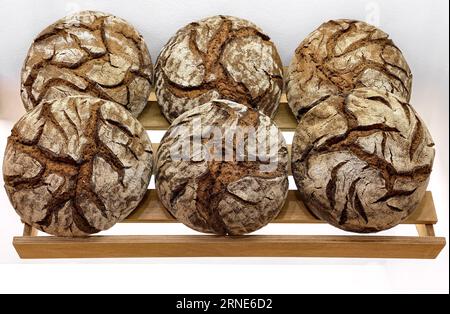 Round loaves of dark rye bread on shelf in bakery. Big round bread isolated on white background. Stock Photo