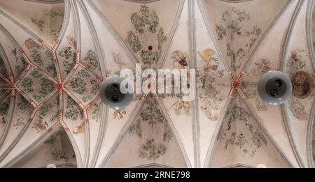 Weert, Limburg, The Netherlands, July 14, 2023 - Decorated ceiling of the Saint Martin church Stock Photo