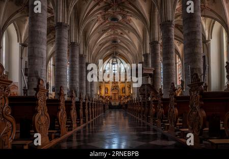 Weert, Limburg, The Netherlands, July 14, 2023 - Gothic interior design of the Saint Martin church of the village Stock Photo