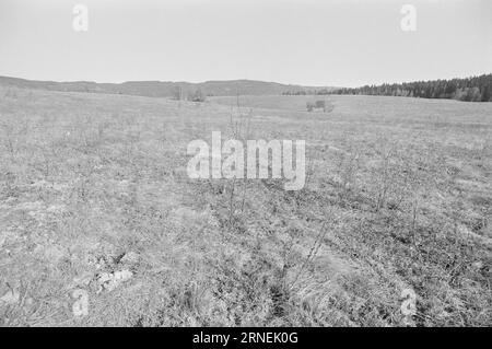 Current 21 - 1974: Løvenskiold Vanskjøtter EarthMost of the world lacks food. But in Norway, more and more arable land is going out of business. In Sørkedalen outside Oslo, hundreds of acres of fine topsoil have lain fallow for decades. The land is owned by landowner Harald Løvenskiold. According to Section 53 of the Land Act, the authorities should be able to take the land from him, in order to hand it over to people who want to cultivate it and produce more food.  Photo: Aage Storløkken / Aktuell / NTB ***PHOTO NOT IMAGE PROCESSED*** This text has been automatically translated! Stock Photo