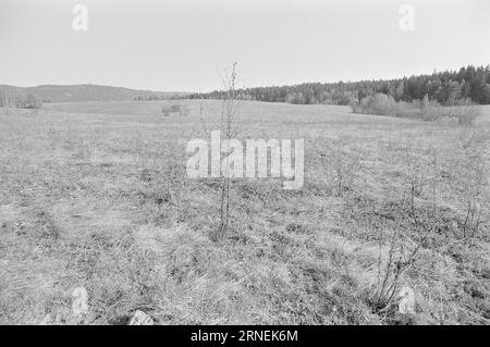 Current 21 - 1974: Løvenskiold Vanskjøtter EarthMost of the world lacks food. But in Norway, more and more arable land is going out of business. In Sørkedalen outside Oslo, hundreds of acres of fine topsoil have lain fallow for decades. The land is owned by landowner Harald Løvenskiold. According to Section 53 of the Land Act, the authorities should be able to take the land from him, in order to hand it over to people who want to cultivate it and produce more food.  Photo: Aage Storløkken / Aktuell / NTB ***PHOTO NOT IMAGE PROCESSED*** This text has been automatically translated! Stock Photo
