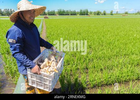 Qozoq ayol va uning dosti porno