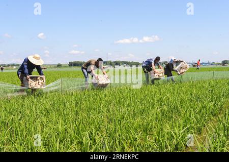 Filmlardan erotik qismlarni tomosha qiling