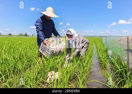 Video chatda porno tomosha qiling Qizlar eshaklarini ostiradilar