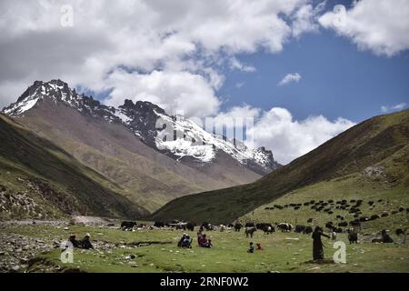 (160711) -- XINING, July 11, 2016 -- Photo taken on June 15, 2016 shows a mountain in Qumarleb County in Tibetan Autonomous Prefecture of Yushu, northwest China s Qinghai Province. Over the past decade, lots of efforts have been devoted to rehabilitate the fragile eco-system of Sanjiangyuan and the ecological degrading has been basically curbed. However, there are still problems ranging from overlapping authority, weak law enforcement, lack of public awareness and a conflict between ecological protection and people s need for higher incomes. The Sanjiangyuan National Park has experienced syste Stock Photo