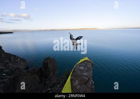 (160711) -- XINING, July 11, 2016 -- An eagle flies over the Gyaring Lake in Madoi County of Tibetan Autonomous Prefecture of Golog, northwest China s Qinghai Province, July 31, 2014. Over the past decade, lots of efforts have been devoted to rehabilitate the fragile eco-system of Sanjiangyuan and the ecological degrading has been basically curbed. However, there are still problems ranging from overlapping authority, weak law enforcement, lack of public awareness and a conflict between ecological protection and people s need for higher incomes. The Sanjiangyuan National Park has experienced sy Stock Photo