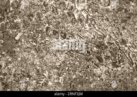 Background of brown polished stone texture with abstract pattern, for design, uneven surface, full frame. Copy space. Toned Champagne. Selective focus Stock Photo