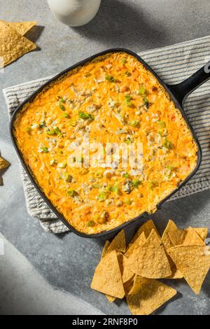 Homemade Warm Buffalo Chicken Dip with Cheese and Chips Stock Photo