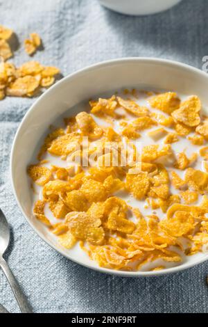 Sweet Organic Frosted Corn Flakes Cereal with Whole Milk Stock Photo