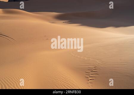 view in the Sahara desert of Tadrart rouge tassili najer in Djanet City  ,Algeria.colorful orange sand, rocky mountains Stock Photo