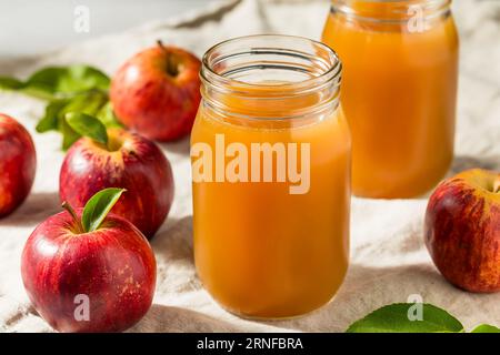 Cold Refreshing Apple Cider Juice in a Glass Stock Photo