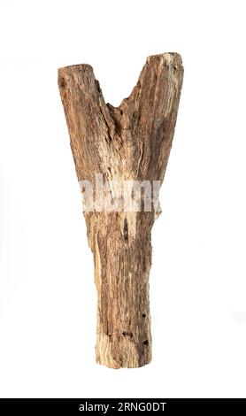 Trunk of a tree Isolated On White Background, Dry branches Stock Photo