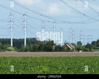 Modern High voltage power lines in the dutch countryside near Borssele, Zeeland, the Netherlands with one house below them. The energy transition is c Stock Photo