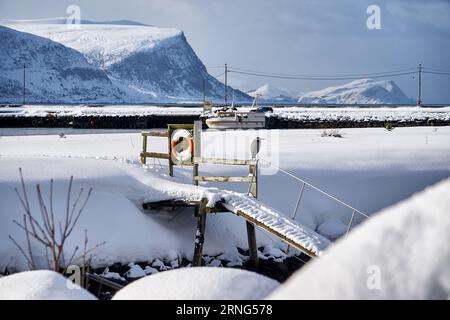 A heron waiting for fish on Godøy, Ålesund, Norway Stock Photo