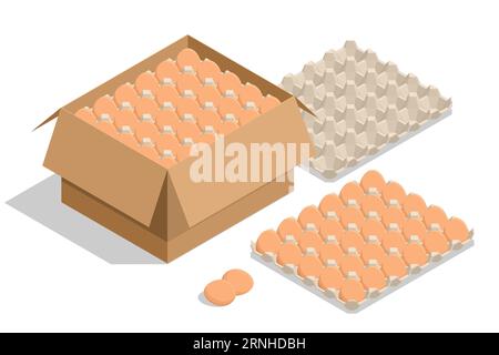 Isometric Chicken Egg Packaging. Eggs in a cardboard box isolated on a background. Chicken egg is a main component of the human diet serving as a Stock Vector