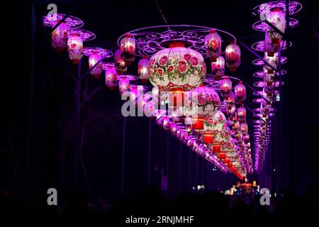 (170205) -- LUOYANG, Feb. 4, 2017 -- Colored lanterns are displayed at a New Year lantern fair in Wangcheng Park in Luoyang City, central China Henan Province, Feb. 4, 2017. ) (ry) CHINA-HENAN-LUOYANG-LANTERN FAIR (CN) FengxDapeng PUBLICATIONxNOTxINxCHN   Luoyang Feb 4 2017 Colored Lanterns are displayed AT a New Year Lantern Fair in Wang Cheng Park in Luoyang City Central China Henan Province Feb 4 2017 Ry China Henan Luoyang Lantern Fair CN FengxDapeng PUBLICATIONxNOTxINxCHN Stock Photo