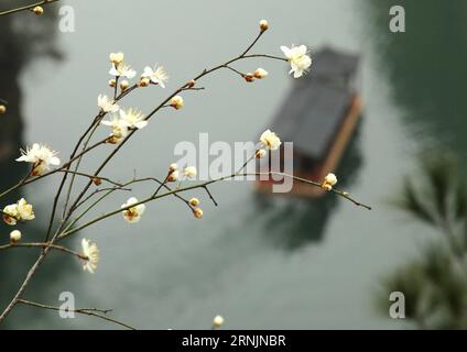 CHANGSHA, A sighseeing boat, shaded by blossoms, sails on Baofeng Lake in Zhangjiajie, central China s Hunan Province, Feb. 6, 2017. ) (ry) CHINA-EARLY SPRING-SCENERY (CN) WuxYongbing PUBLICATIONxNOTxINxCHN   Changsha a Sighseeing Boat shaded by Blossoms SAILS ON Baofeng Lake in Zhangjiajie Central China S Hunan Province Feb 6 2017 Ry China Early Spring scenery CN WuxYongbing PUBLICATIONxNOTxINxCHN Stock Photo