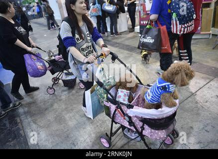 (170224) -- HONG KONG, Feb. 24, 2017 -- A citizen pushes a pet stroller during the 12th Pet Show in Hong Kong, south China, Feb. 24, 2017. The pet show kicked off at the Convention and Exhibition Center on Friday. ) (zyd) CHINA-HONG KONG-PET SHOW (CN) WangxShen PUBLICATIONxNOTxINxCHN   Hong Kong Feb 24 2017 a Citizen pushes a Pet Stroll during The 12th Pet Show in Hong Kong South China Feb 24 2017 The Pet Show kicked off AT The Convention and Exhibition Center ON Friday ZYD China Hong Kong Pet Show CN WangxShen PUBLICATIONxNOTxINxCHN Stock Photo