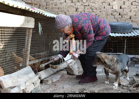 ZIBO, March 7, 2017 -- Nina, a 91-year-old woman of Russian origin living in China, feeds chickens at home in Mansi River Village in Zibo City, east China s Shandong Province, March 7, 2017. Nina was born in 1926 in Vahevo Village in Vologda Oblast in northern Russia. Her father, a Chinese merchant from northern China s Hebei Province, brought her to China when she was seven. Nina s mother was Russian. Nina, whose Chinese name is Liu Molan, has spent most of her life in Mansi River Village in Zibo City. Her late husband Liu Chunshu once served in the Kuomintang air force. Nina s story became k Stock Photo