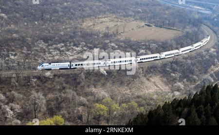 (170328) -- BEIJING, March 28, 2017 -- A train runs amid flowers near the Juyongguan Pass in Beijing, capital of China, March 28, 2017. ) (lfj) CHINA-BEIJING-SPRING-TRAIN (CN) ChenxYehua PUBLICATIONxNOTxINxCHN   Beijing March 28 2017 a Train runs Amid Flowers Near The Juyongguan Passport in Beijing Capital of China March 28 2017 lfj China Beijing Spring Train CN ChenxYehua PUBLICATIONxNOTxINxCHN Stock Photo