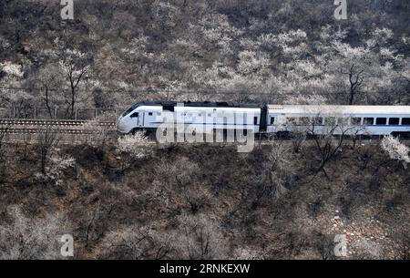 (170328) -- BEIJING, March 28, 2017 -- A train runs amid flowers near the Juyongguan Pass in Beijing, capital of China, March 28, 2017. ) (lfj) CHINA-BEIJING-SPRING-TRAIN (CN) ChenxYehua PUBLICATIONxNOTxINxCHN   Beijing March 28 2017 a Train runs Amid Flowers Near The Juyongguan Passport in Beijing Capital of China March 28 2017 lfj China Beijing Spring Train CN ChenxYehua PUBLICATIONxNOTxINxCHN Stock Photo