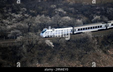 (170328) -- BEIJING, March 28, 2017 -- A train runs amid flowers near the Juyongguan Pass in Beijing, capital of China, March 28, 2017. ) (lfj) CHINA-BEIJING-SPRING-TRAIN (CN) ChenxYehua PUBLICATIONxNOTxINxCHN   Beijing March 28 2017 a Train runs Amid Flowers Near The Juyongguan Passport in Beijing Capital of China March 28 2017 lfj China Beijing Spring Train CN ChenxYehua PUBLICATIONxNOTxINxCHN Stock Photo