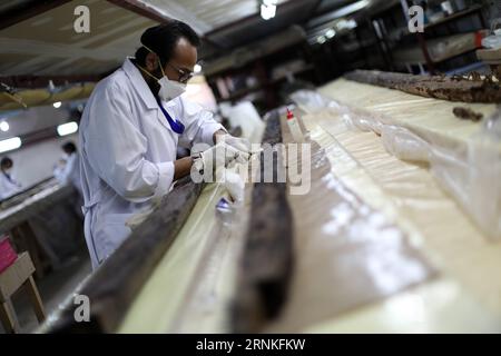 (170329) -- GIZA, March 29, 2017 -- An archaeologist works on parts of the second solar boat of Pharaoh Khufu at the restoration laboratory located in Giza, Egypt on March 29, 2017. Egypt opened its largest on-site antiquities laboratory to restore Pharaoh Khufu s second solar boat. King Khufu was a famous fourth dynasty Pharaoh who built the great Khufu Pyramid. His solar boat was designed to ferry him to the afterlife according to ancient Egyptian beliefs. The second solar boat of King Khufu was detected in 1987 in a large pit to the west of the first solar boat. Both boats lie on the southe Stock Photo