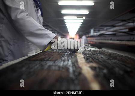 (170329) -- GIZA, March 29, 2017 -- An archaeologist works on parts of the second solar boat of Pharaoh Khufu at the restoration laboratory located in Giza, Egypt on March 29, 2017. Egypt opened its largest on-site antiquities laboratory to restore Pharaoh Khufu s second solar boat. King Khufu was a famous fourth dynasty Pharaoh who built the great Khufu Pyramid. His solar boat was designed to ferry him to the afterlife according to ancient Egyptian beliefs. The second solar boat of King Khufu was detected in 1987 in a large pit to the west of the first solar boat. Both boats lie on the southe Stock Photo