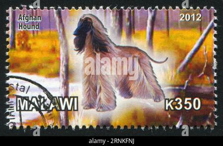 MALAWI - CIRCA 2012: stamp printed by Malawi, shows Afghan Hound, circa 2012 Stock Photo