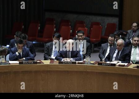 (170405) -- UNITED NATIONS, April 5, 2017 -- Liu Jieyi (C, Front), China s permanent representative to the UN, addresses a UN Security Council emergency meeting on alleged chemical weapon attack in Syria, at the UN headquarters in New York, on April 5, 2017. China supports the Organization for the Prohibition of Chemical Weapons (OPCW) and related UN entities in carrying out comprehensive, objective and fair investigations into uses of chemicals as weapons in Syria, said Liu Jieyi here on Wednesday. ) UN-SECURITY COUNCIL-SYRIA-USE OF CHEMICALS AS WEAPONS-PROBE-CHINA-SUPPORT LixMuzi PUBLICATION Stock Photo