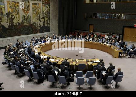 (170405) -- UNITED NATIONS, April 5, 2017 -- Photo taken on April 5, 2017, shows the United Nations Security Council holding an emergency meeting on alleged chemical weapon attack in Syria, at the UN headquarters in New York. China supports the Organization for the Prohibition of Chemical Weapons (OPCW) and related UN entities in carrying out comprehensive, objective and fair investigations into uses of chemicals as weapons in Syria, said China s permanent representative to the UN Liu Jieyi here on Wednesday. ) UN-SECURITY COUNCIL-SYRIA-USE OF CHEMICALS AS WEAPONS-PROBE-CHINA-SUPPORT LixMuzi P Stock Photo