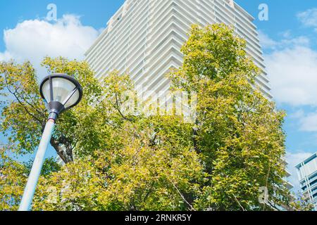 green city plant tree park around office building for carbon absorb for sustainability environmental living Stock Photo