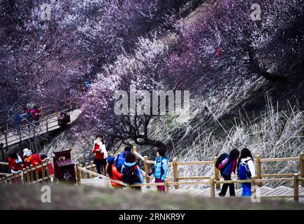 (170416) -- XINYUAN, April 16, 2017 -- Tourists walk past flowering apricot trees in Turgen Township of Xinyuan County in Ili Kazakh Autonomous Prefecture, northwest China s Xinjiang Uygur Autonomous Region, April 16, 2017. Every April, the apricot flowers of Turgen have been a major attraction for tourists in Xinjiang. )(wjq) CHINA-XINJIANG-TURGEN-APRICOT BLOSSOM (CN) ZhaoxGe PUBLICATIONxNOTxINxCHN   Xinyuan April 16 2017 tourists Walk Past flowering Apricot Trees in Turgen Township of Xinyuan County in ILI Kazakh Autonomous Prefecture Northwest China S Xinjiang Uygur Autonomous Region April Stock Photo