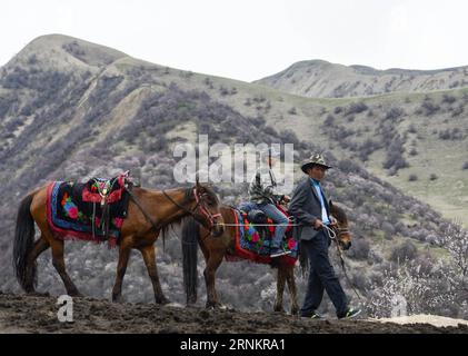 (170416) -- XINYUAN, April 16, 2017 -- Local herdsmen wait for customers on a mountain in Turgen Township of Xinyuan County in Ili Kazakh Autonomous Prefecture, northwest China s Xinjiang Uygur Autonomous Region, April 16, 2017. Every April, the apricot flowers of Turgen have been a major attraction for tourists in Xinjiang. )(wjq) CHINA-XINJIANG-TURGEN-APRICOT BLOSSOM (CN) ZhaoxGe PUBLICATIONxNOTxINxCHN   Xinyuan April 16 2017 Local herdsmen Wait for customers ON a Mountain in Turgen Township of Xinyuan County in ILI Kazakh Autonomous Prefecture Northwest China S Xinjiang Uygur Autonomous Reg Stock Photo