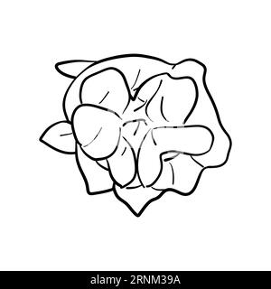 Vector, line illustration of hand drawn strawberry, strawberry or raspberry flowers. Isolated flowers on white background. Print for fabric, packaging Stock Vector