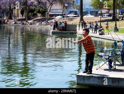 (170514) -- LOS ANGELES, May 14, 2017 -- A boy participates in fish training during a youth fishing derby held by the Los Angeles Department of Recreation and Parks in the lake at MacArthur Park near downtown Los Angeles, the United States, on May 13, 2017. )(gj) U.S.-LOS ANGELES-FISHING ZhaoxHanrong PUBLICATIONxNOTxINxCHN   Los Angeles May 14 2017 a Boy participates in Fish Training during a Youth Fishing Derby Hero by The Los Angeles Department of Recreation and Parks in The Lake AT MacArthur Park Near Downtown Los Angeles The United States ON May 13 2017 GJ U S Los Angeles Fishing ZhaoxHanr Stock Photo