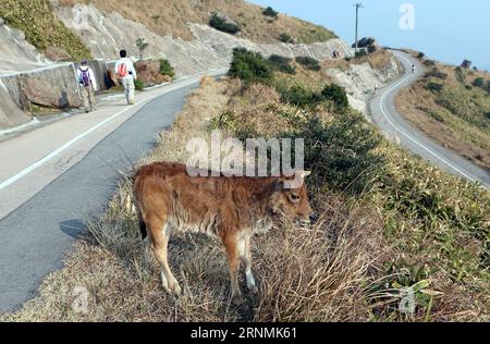 (170601) -- HONG KONG, June 1, 2017 -- People walk along the MacLehose Trail in Hong Kong, south China, Jan. 4, 2014. )(mcg) CHINA-HONG KONG-MOUNTAIN PATH-DAILY LIFE (CN) LixPeng PUBLICATIONxNOTxINxCHN   Hong Kong June 1 2017 Celebrities Walk Along The MacLehose Trail in Hong Kong South China Jan 4 2014 McG China Hong Kong Mountain Path Daily Life CN LixPeng PUBLICATIONxNOTxINxCHN Stock Photo