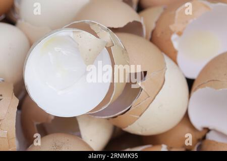 Stack of broken and dry eggshells Stock Photo